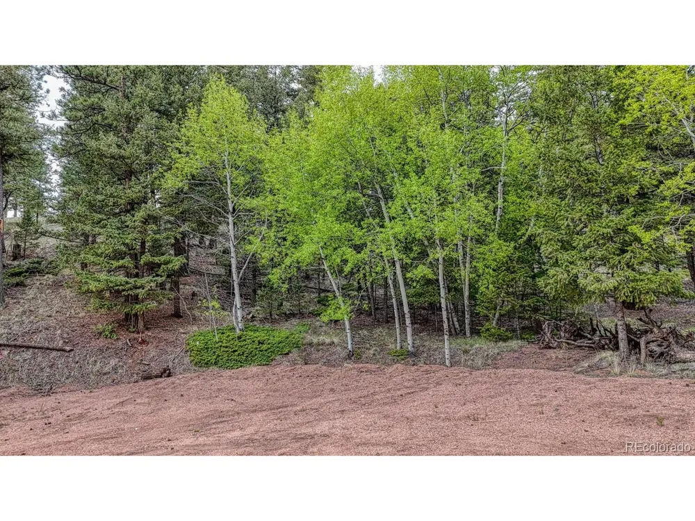 918 Pinon Lane Florissant, CO 80816