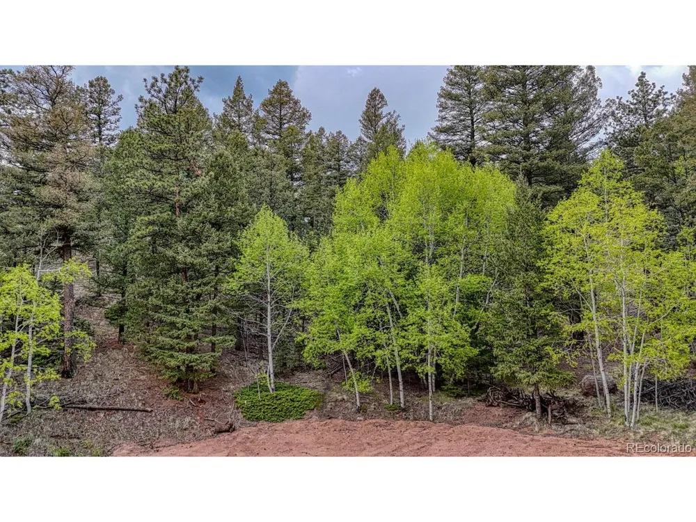 918 Pinon Lane Florissant, CO 80816