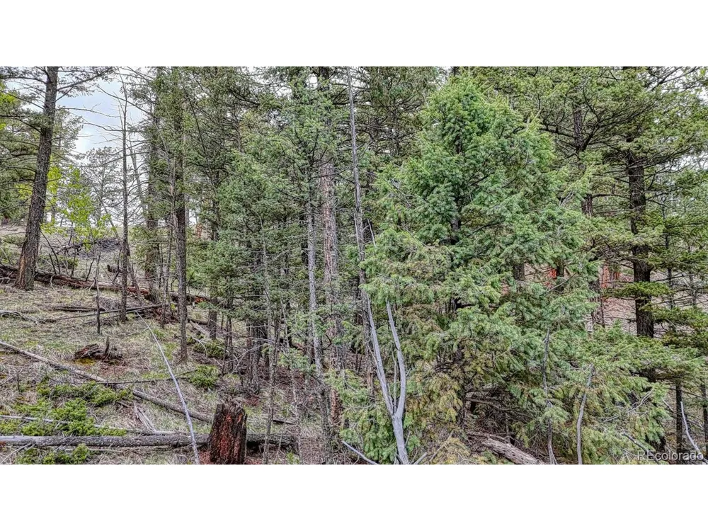 918 Pinon Lane Florissant, CO 80816