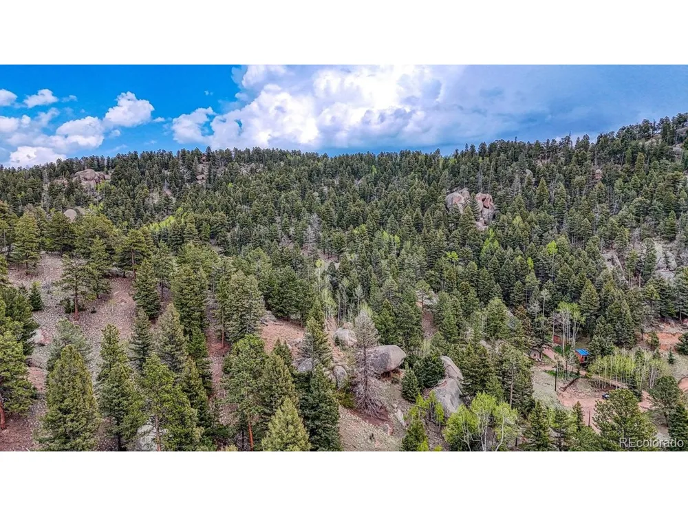918 Pinon Lane Florissant, CO 80816
