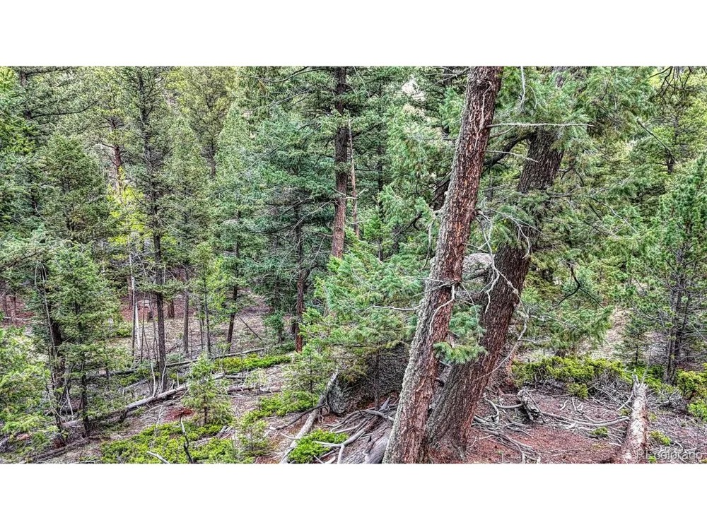 918 Pinon Lane Florissant, CO 80816