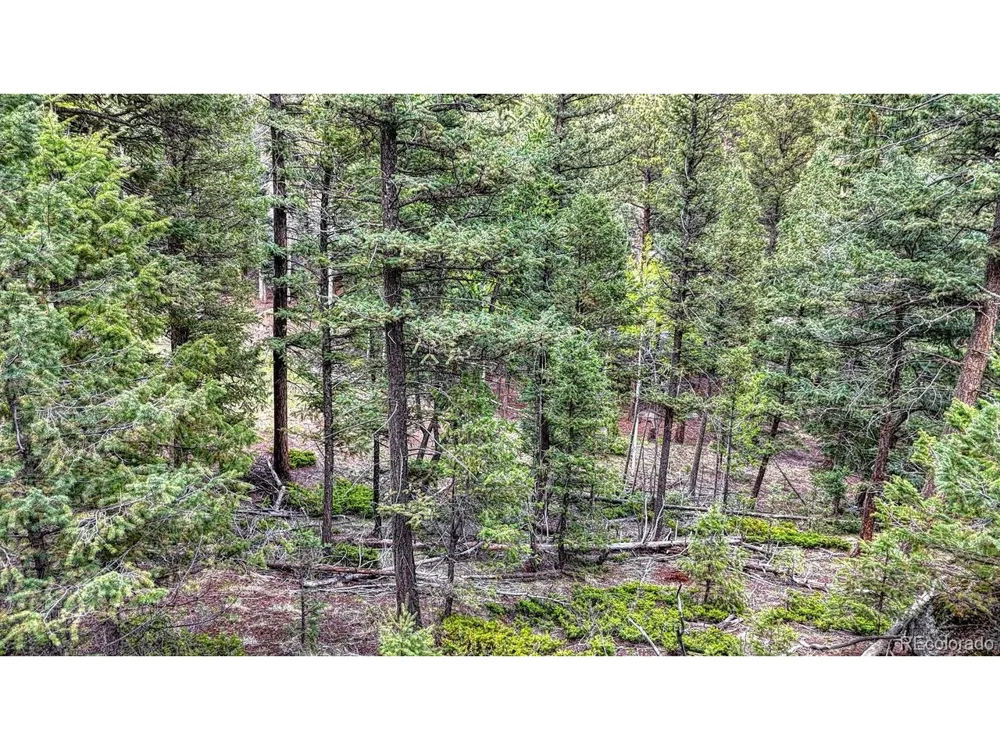 918 Pinon Lane Florissant, CO 80816