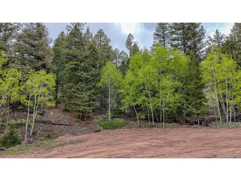 918 Pinon Lane Florissant, CO 80816