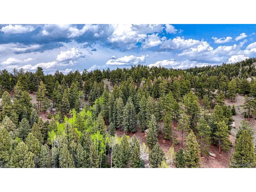 918 Pinon Lane Florissant, CO 80816