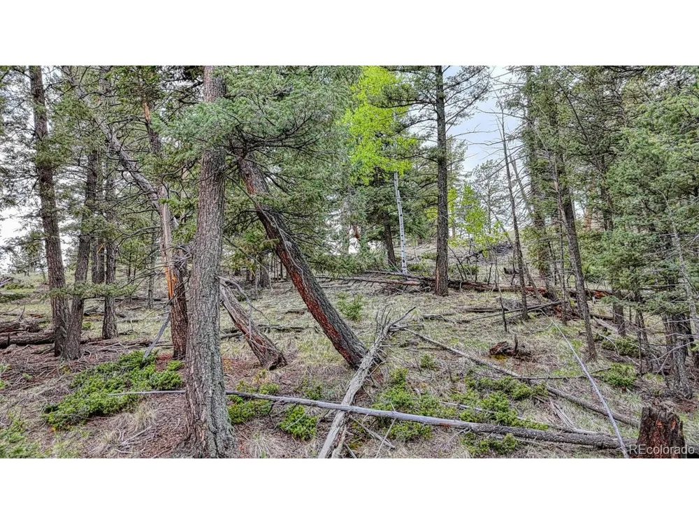 918 Pinon Lane Florissant, CO 80816