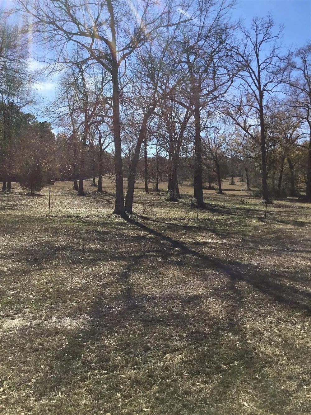 10890 Fm 830 Road Willis, TX 77318