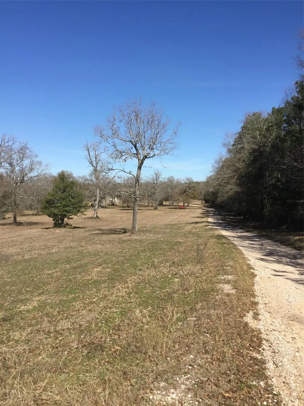 10890 Fm 830 Road Willis, TX 77318