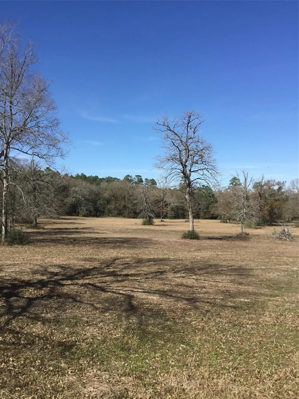 10890 Fm 830 Road Willis, TX 77318