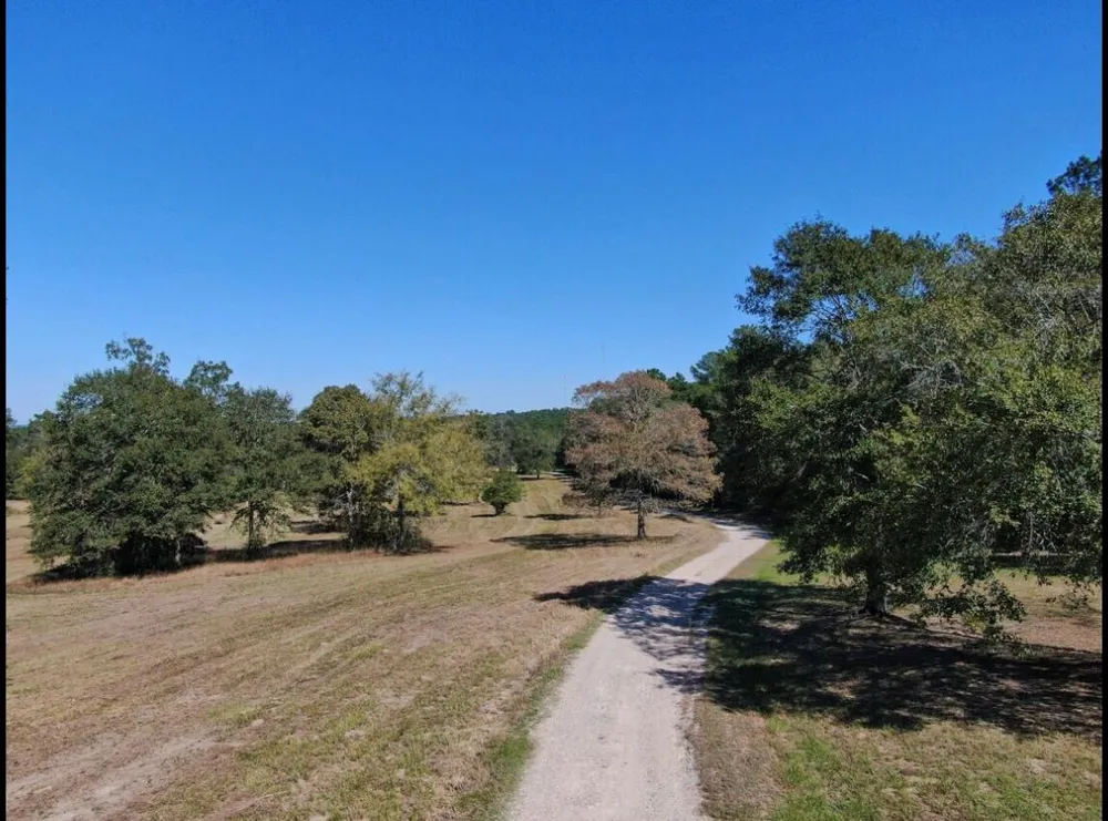 10890 Fm 830 Road Willis, TX 77318