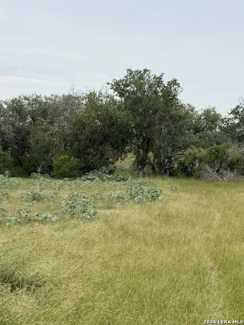 6038 County Road 405