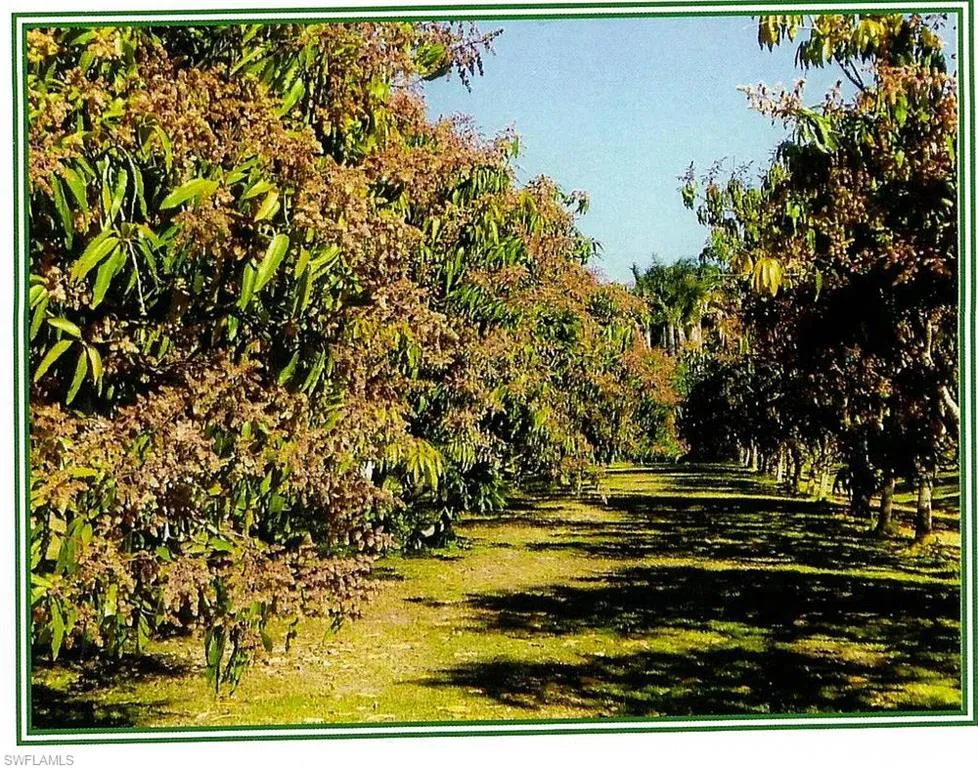 Address Not Shown Bokeelia, FL 33922