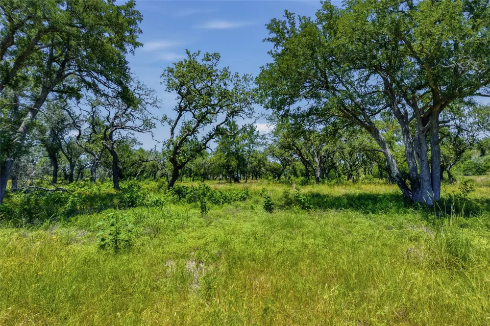 623 Whiskey Trail Blanco, TX 78606