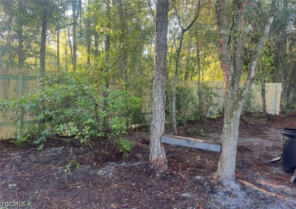 Garetta Avenue Webster, FL 33597