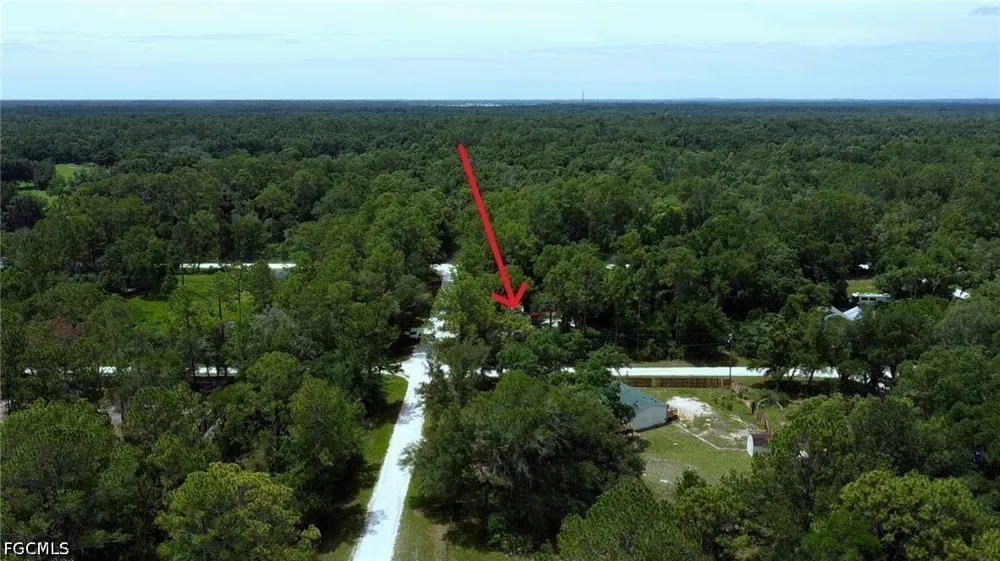 Garetta Avenue Webster, FL 33597