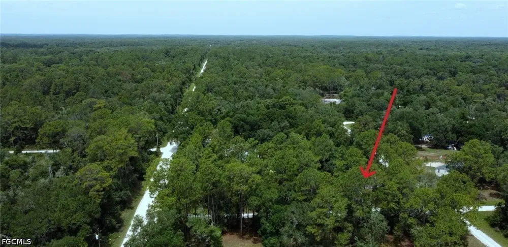 Garetta Avenue Webster, FL 33597