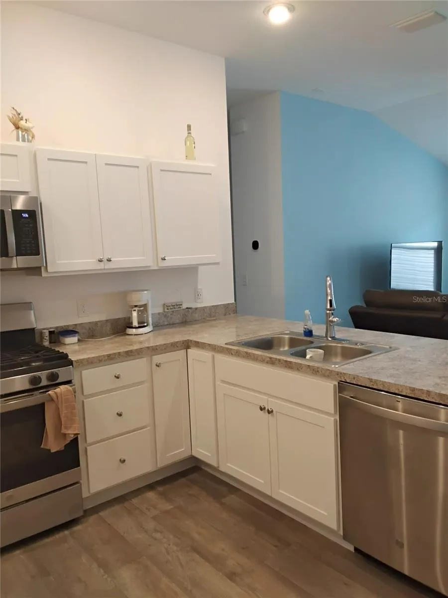 3561 COCHRAN STREET The Villages, FL 32163