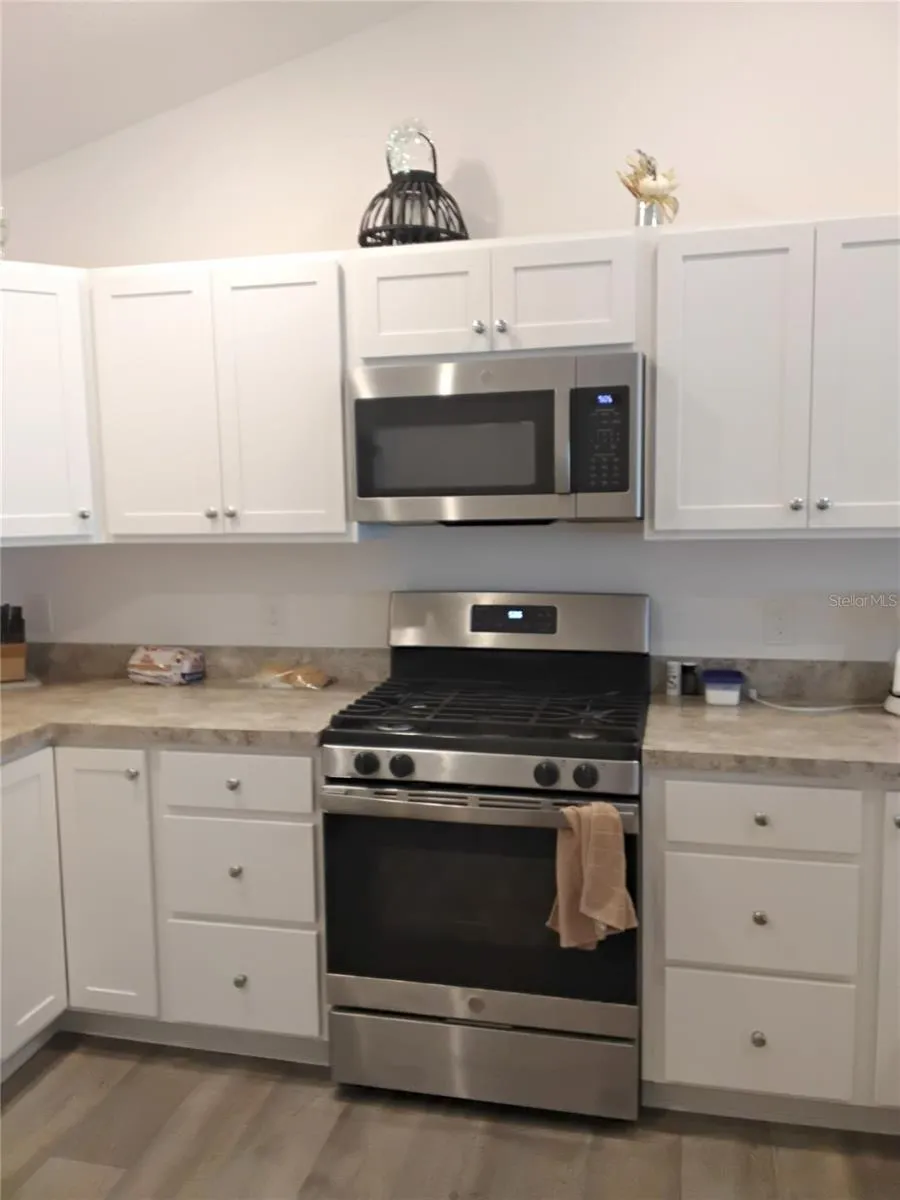 3561 COCHRAN STREET The Villages, FL 32163