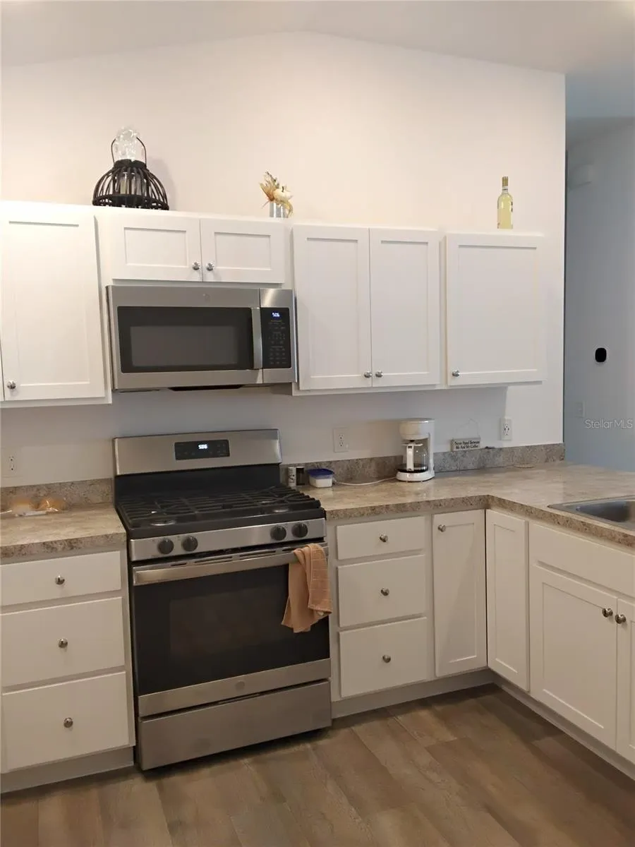 3561 COCHRAN STREET The Villages, FL 32163