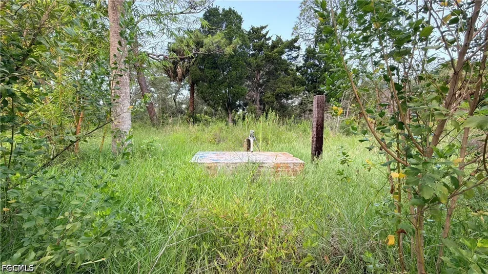 Avenue Hudson, FL 34667