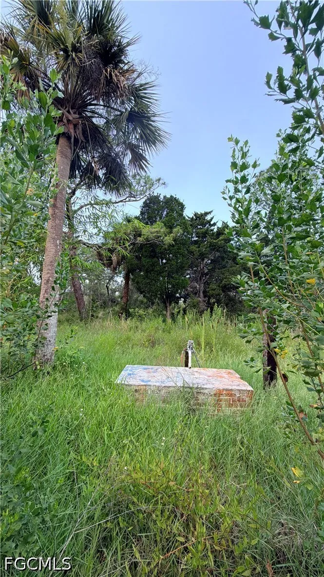 Avenue Hudson, FL 34667