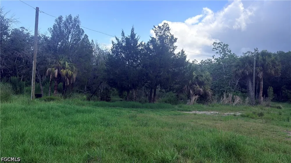 Avenue Hudson, FL 34667