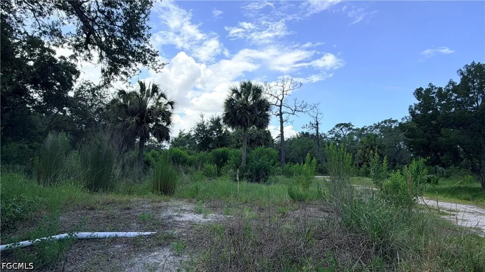 Avenue Hudson, FL 34667