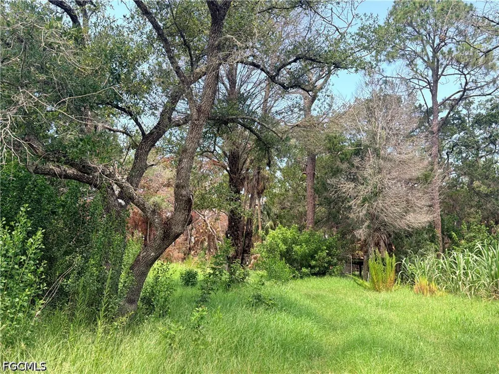 Avenue Hudson, FL 34667