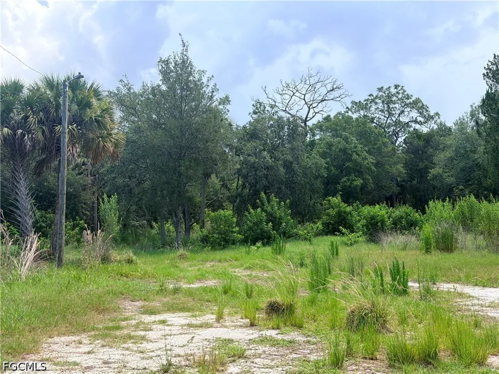 Avenue Hudson, FL 34667