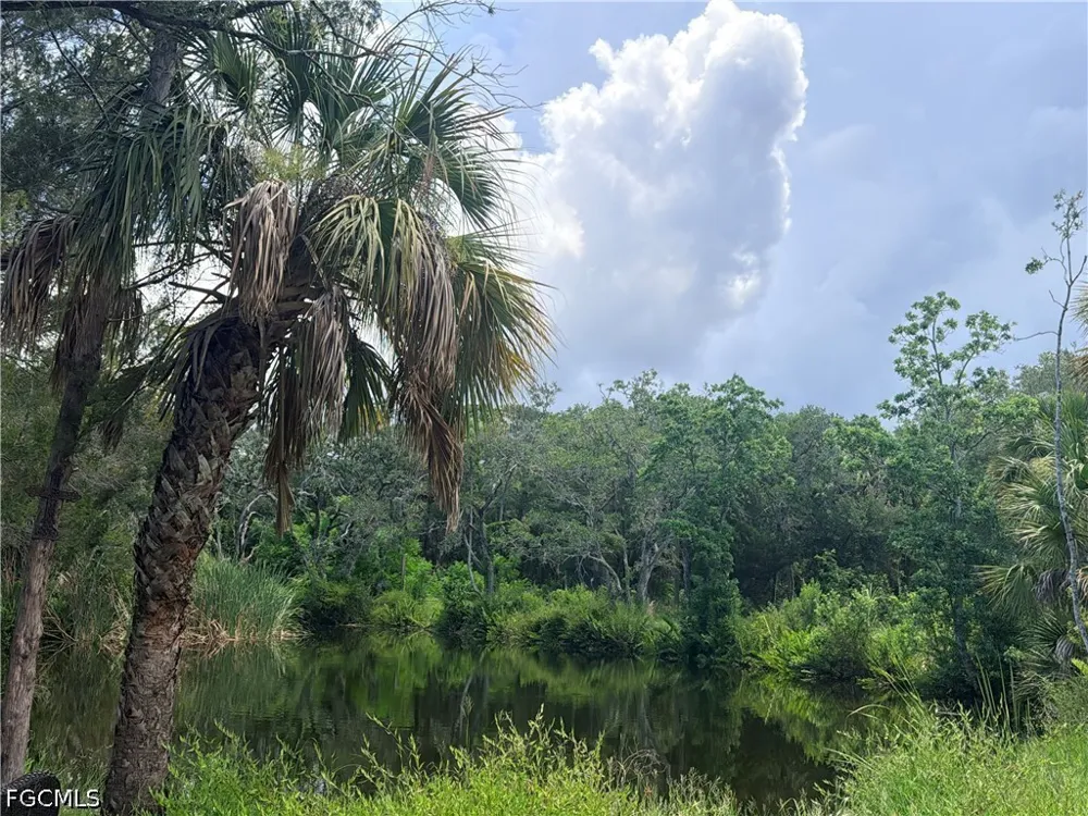Avenue Hudson, FL 34667