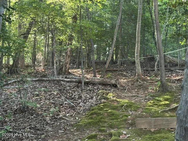 194 Ingrams Mill Road Ellerbe, NC 28338