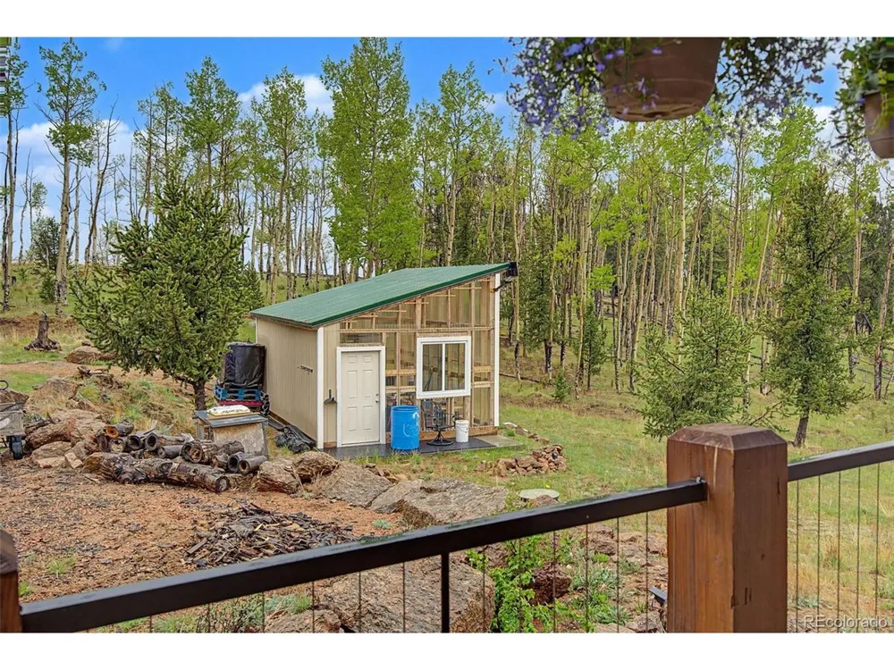 621 School House Hl Victor, CO 80860
