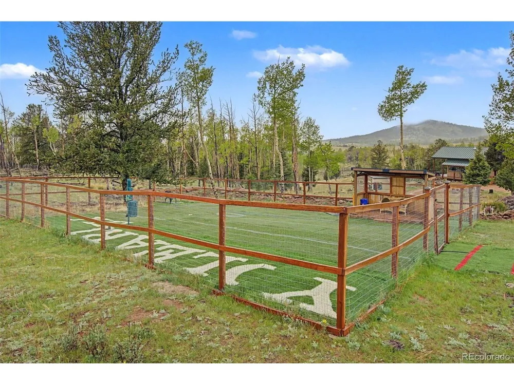 621 School House Hl Victor, CO 80860