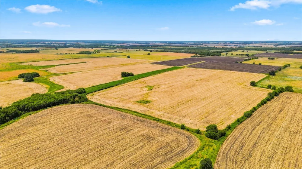 CR 3210 Cooper, TX 75432