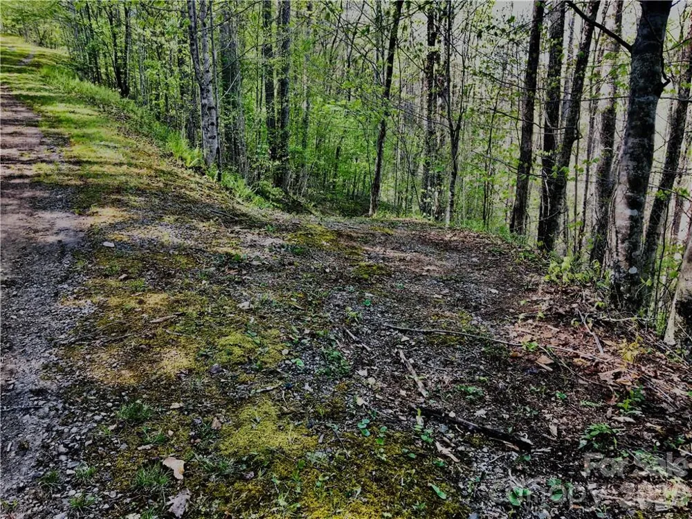 99 Fern Hill Drive Mars Hill, NC 28754
