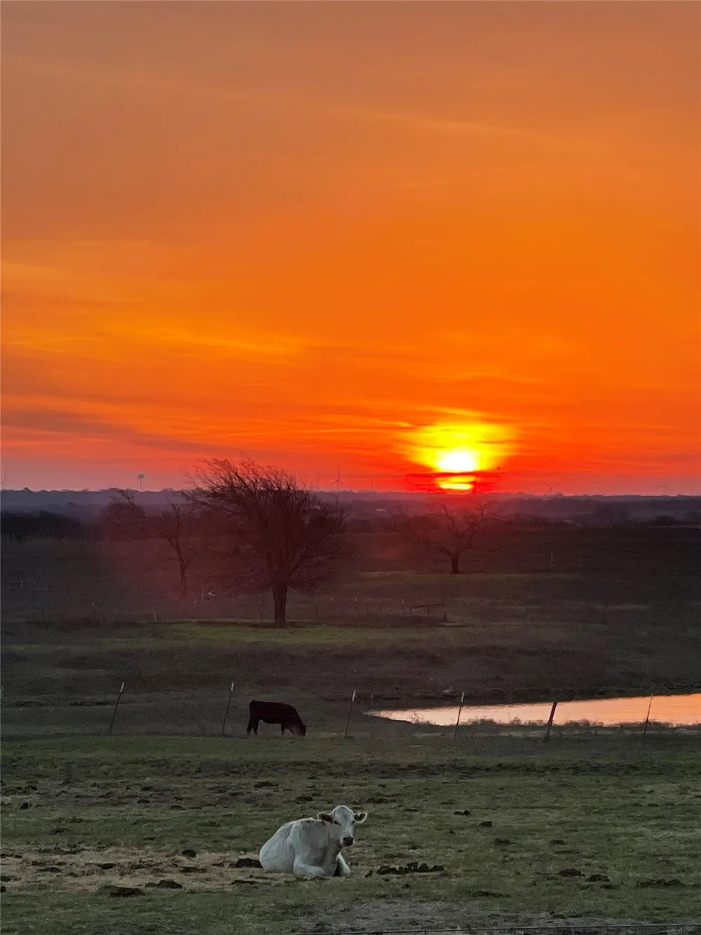 1044 HCR 3241 Hubbard, TX 76648