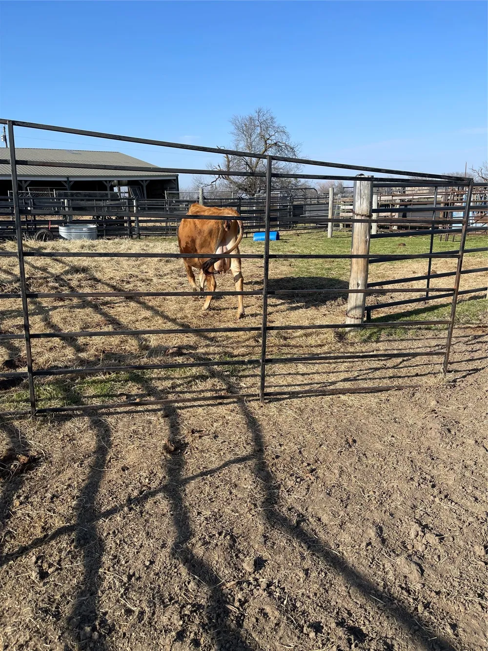 1044 HCR 3241 Hubbard, TX 76648