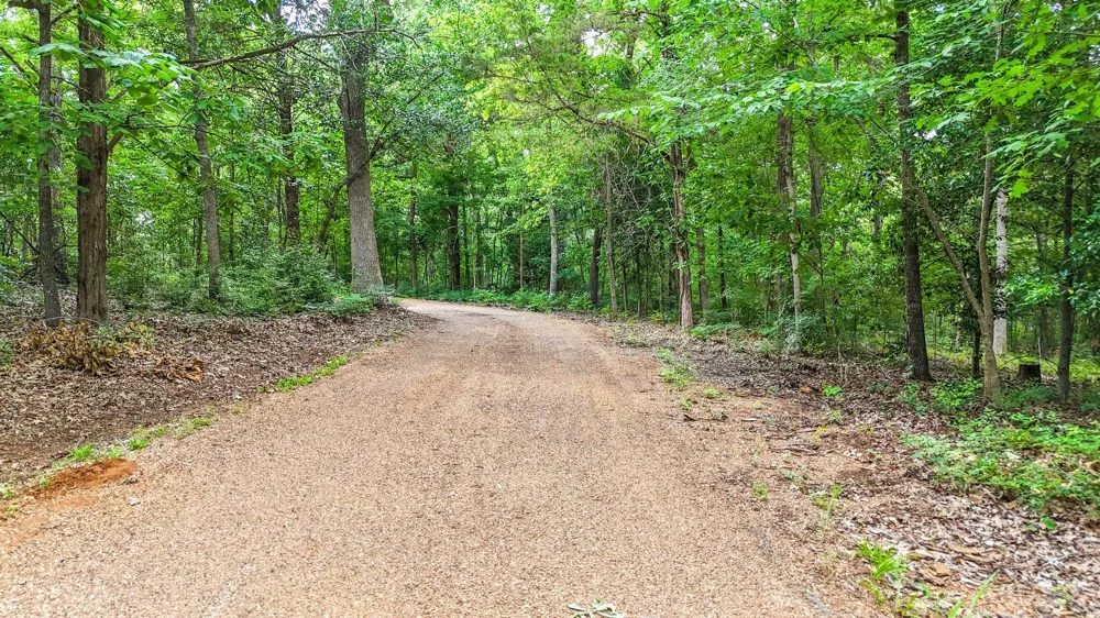 1749 E US Highway 84 Palestine, TX 75801