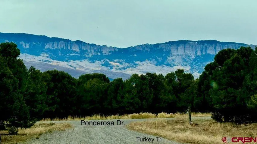 13 Ponderosa Drive Ridgway, CO 81432