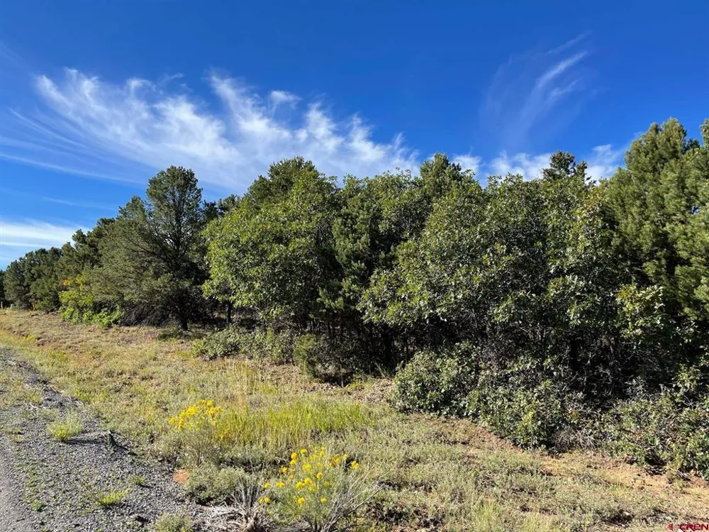 13 Ponderosa Drive Ridgway, CO 81432