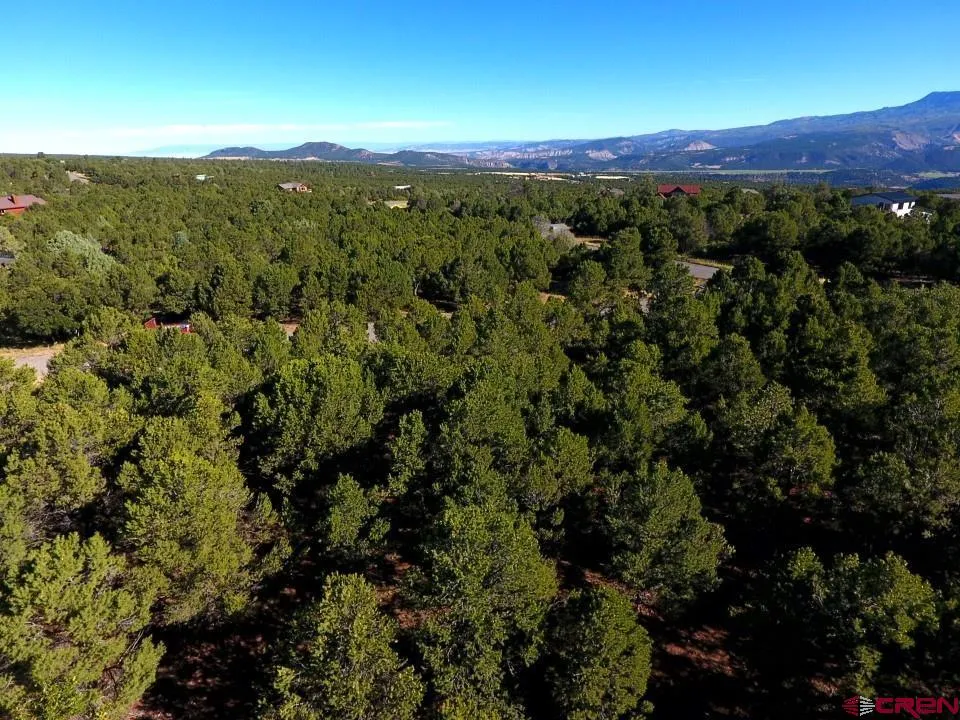 13 Ponderosa Drive Ridgway, CO 81432