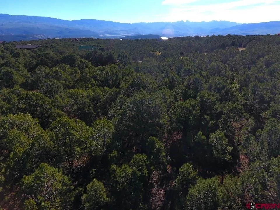 13 Ponderosa Drive Ridgway, CO 81432