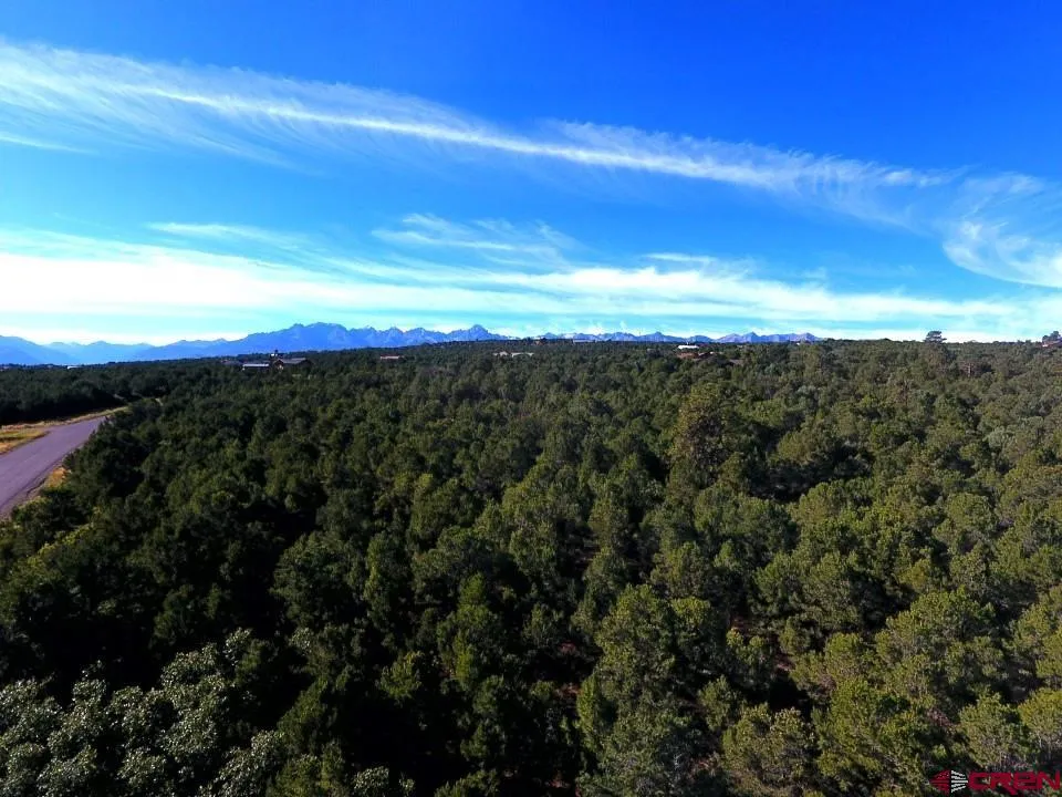 13 Ponderosa Drive Ridgway, CO 81432