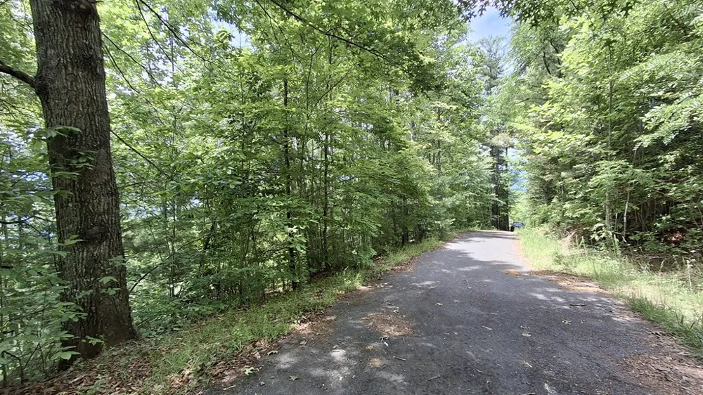 Kako Ridge Sylva, NC 28779