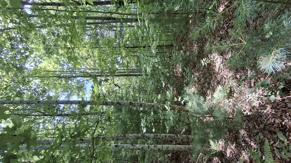 Kako Ridge Sylva, NC 28779