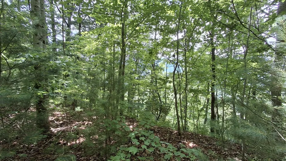 Kako Ridge Sylva, NC 28779