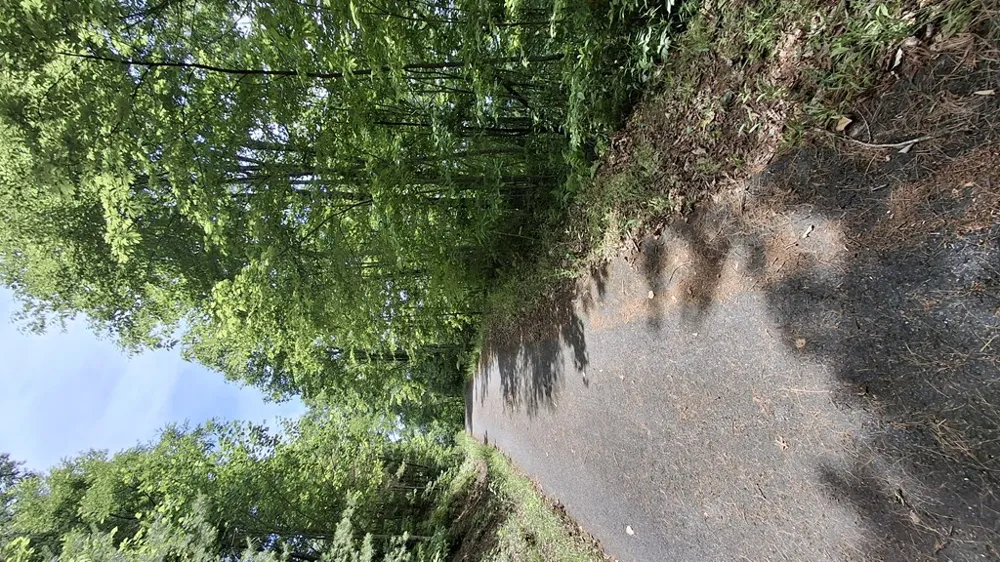 Kako Ridge Sylva, NC 28779