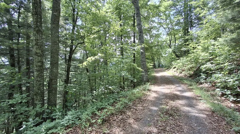 Kako Ridge Sylva, NC 28779