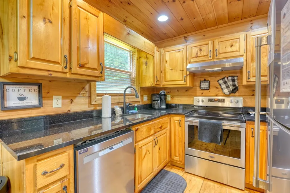 1564 Black Ankle Creek Road Cherry Log, GA 30522