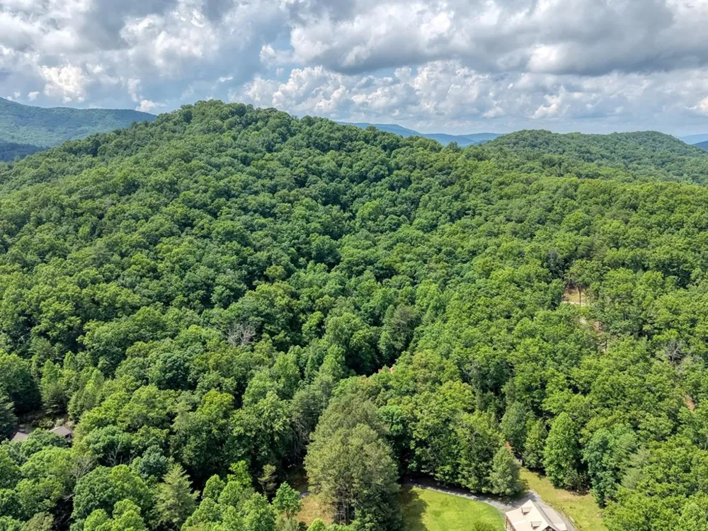 1564 Black Ankle Creek Road Cherry Log, GA 30522
