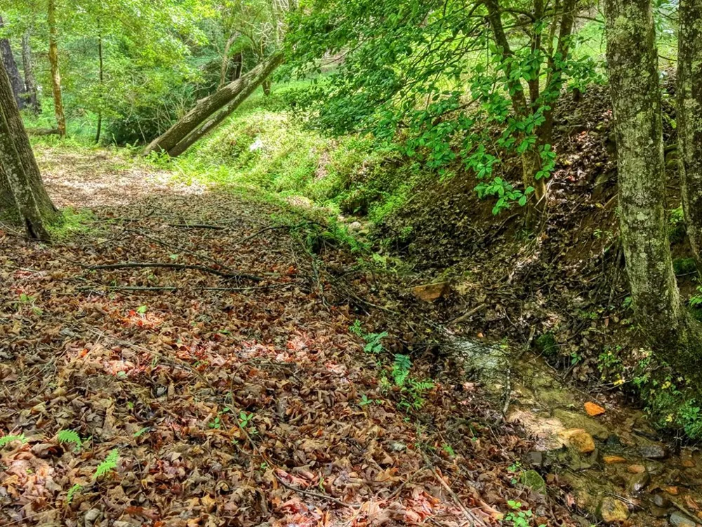 1564 Black Ankle Creek Road Cherry Log, GA 30522